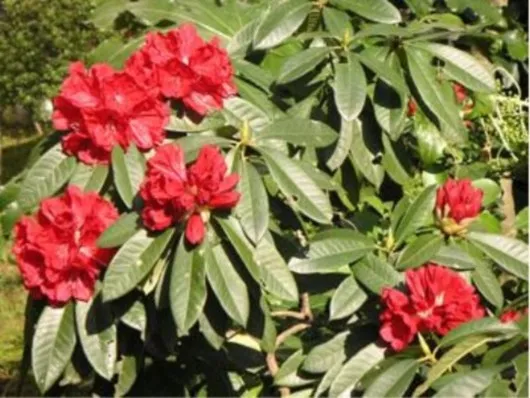 ベストライフ熱海