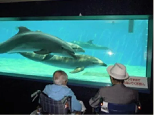 イリーゼ八重瀬