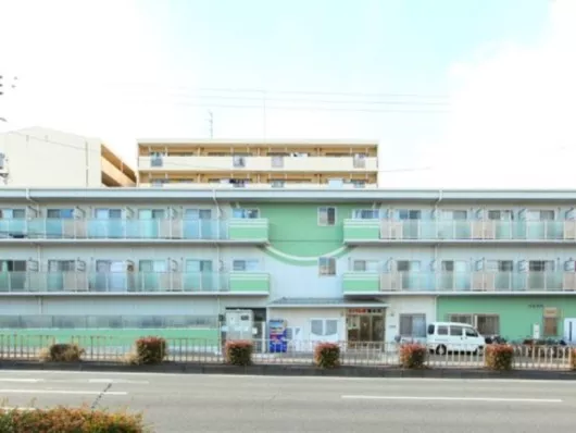 さくらんぼ清水丘