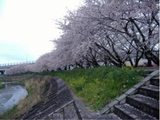 ベストライフ静岡