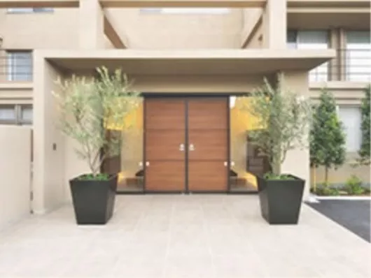 カーサプラチナ草加