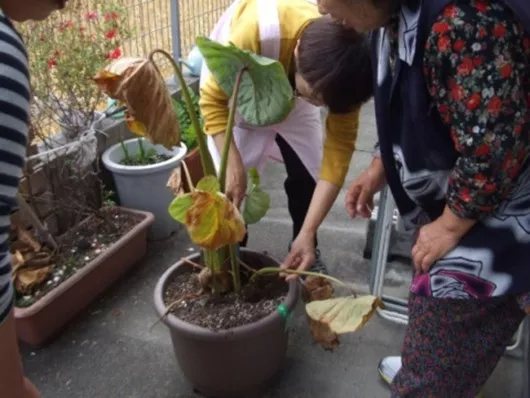 グループホームこころ