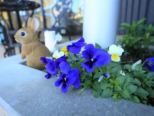 ライフケアセンターよつば