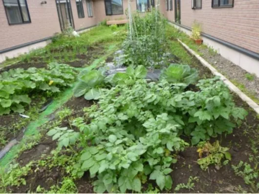 愛の家グループホームなかしべつ