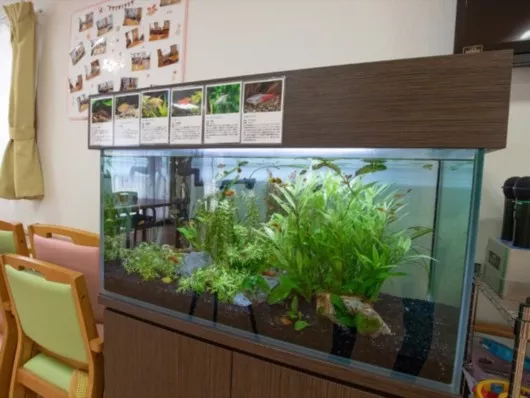 フォーユー東大阪寿