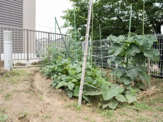 枚方ケアセンターそよ風