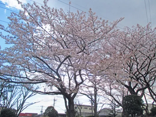 アミカの郷川口