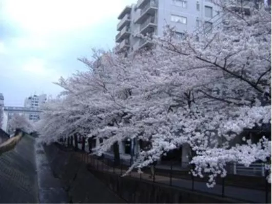 ベストライフ多摩センター