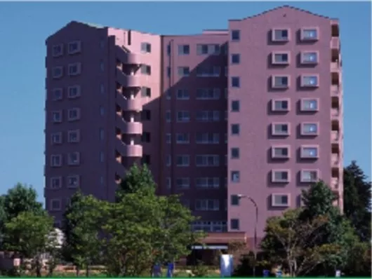 メデカマンション桂