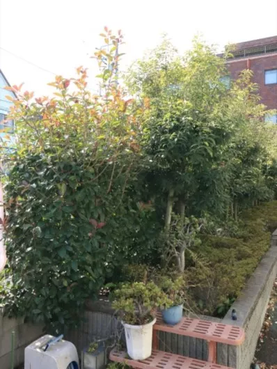 愛の家グループホーム板橋徳丸