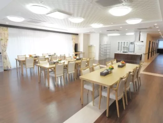 イルミーナしき