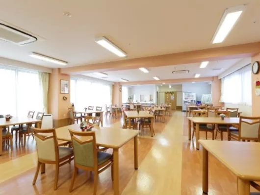 ココファン大袋