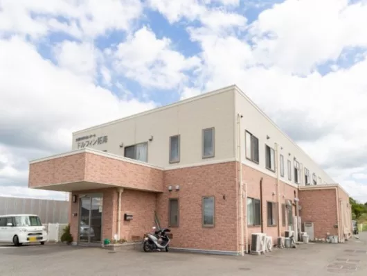 ドルフィン拓海