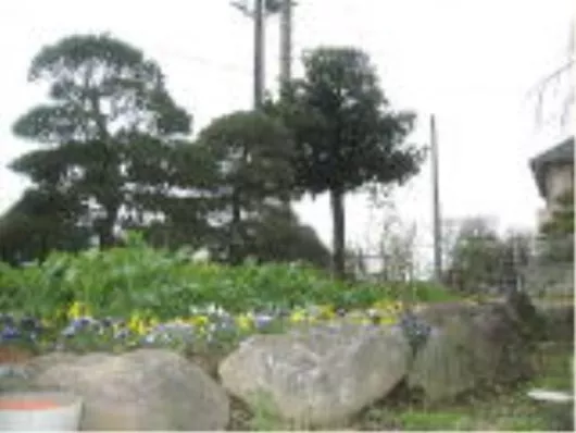 グループホームぽっかぽか