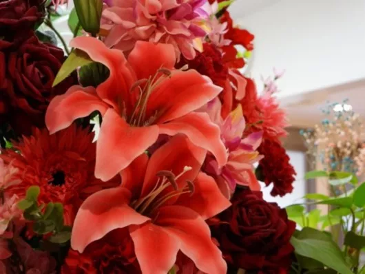 ココファン蘇我