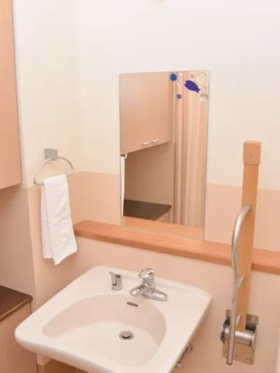 さわやかこすもす館