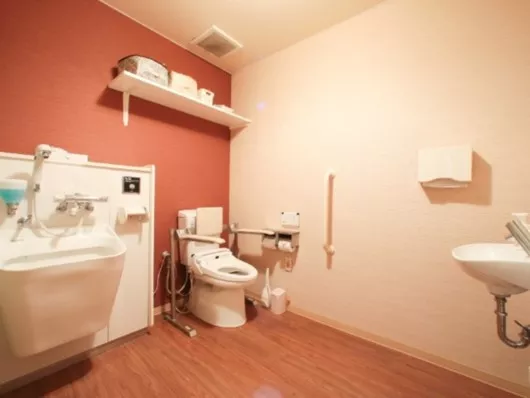 イリーゼはしもと