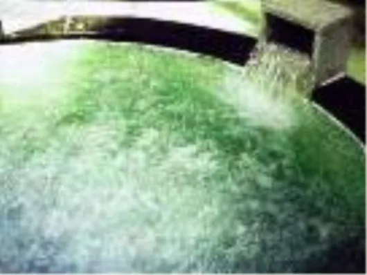 ベストライフ麻生